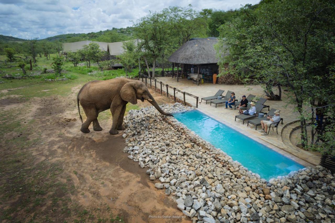 Ongava Tented Camp Okaukuejo Exterior photo